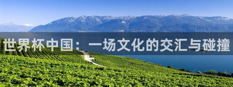 葡萄牙世界杯赛程:世界杯中国:一场文化的交汇与碰撞