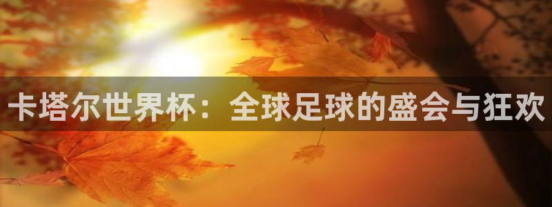 世界杯足球2026:卡塔尔世界杯:全球足球的盛会与狂欢