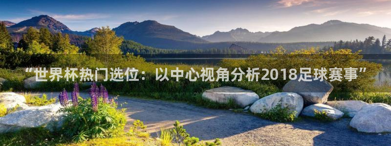 2026世界杯直播免费观看:“世界杯热门选位:以中心视角分析2018足球赛事”
